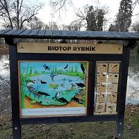 infopanel - biotop rybníka