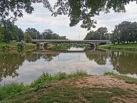 Hradec Králové - sútok Orlice a Labe a fauna na brehoch riek