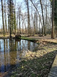 Lednické Rovne - park so vzácnou mokraďovou faunou