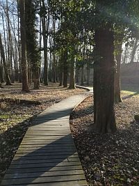 drevený chodník vyvýšený nad okolím aby chránil mokrade