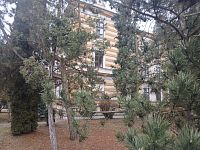 zeleň v okolí školy