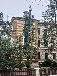 oplotený areál školy so zeleňou