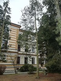 časť budovy školy a zeleň