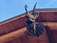 víta nás kamzík v štíte vstupnej brány