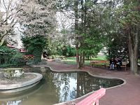 jazierko s ostrovčekom