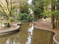 jazierko s upraveným brehom