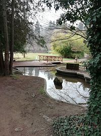 jazierko s ostrovčekom a sochou