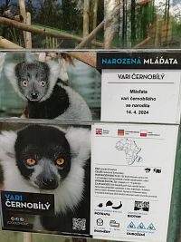 vari čiernobiely - popiska