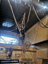 opice vystrájajú rôzne kúsky