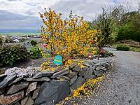 a už vstupujeme medzi kvetiny a stromky