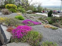 arboretum, za cestou parkovisko
