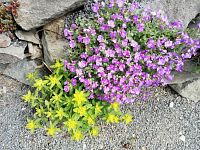 zelená a fialová v kameňoch