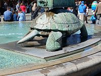 želva, súčasť kašny