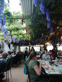 ochutnávka v krásne vyzdobenej sále sa začína