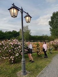 obdivujeme krásne ruže