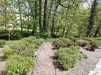 ešte nerozkvitnuté kvetiny