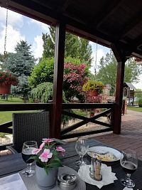 pohľad do záhradky