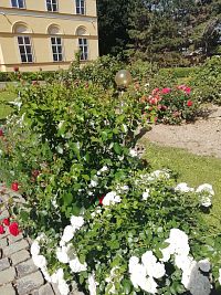 ruže pred kaštieľom