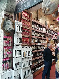 opäť diviak lákajúci k návšteve ochodíka