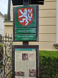 Prírodná pamiatka - povala zámku cez leto ukrýva vzácnu kolóniu netopiera veľkého