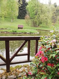 jazierko s ostrovčekom