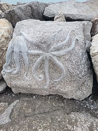 Dialóg s morom, autorka od Katharina Morth (1977 Mníchov, Nemecko) Žije a pracuje v Rakúsku, Nemecku a po celom svete