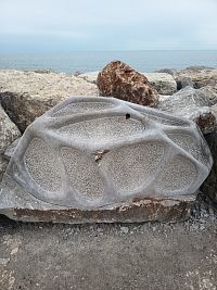 Duša, autor Arijel Štrukelj (1987 Slovinsko), žije a pracuje v Rakúsku