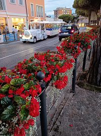 kvetinová výzdoba pri prístave, v pozadí vláčik s turistami