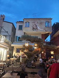 maľovaný dom s bonsajom