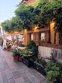 zeleň pred reštauráciou