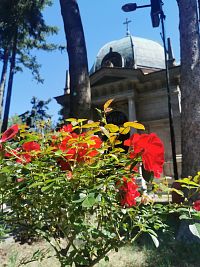 v popredí ruže, pestovaním ktorých sa preslávila Mária Henrieta Choteková (ružová grófka)