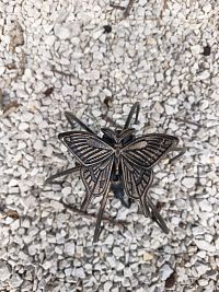 Detail V  - ochrana svietidla