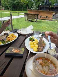 ryby, na tie sme mali chuť!