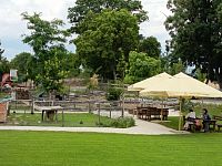 posedenie pri zvieratkách