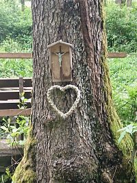 "výzdoba" na strome