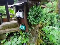 pohára pekne uložené na strome a chránené strieškou