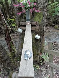 kvety, sviečka a dva poháre