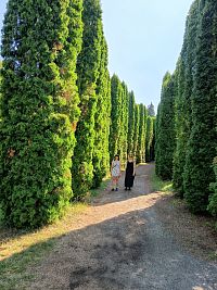 v aleji tuje mlyňanskej