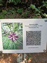 niektoré stromy mali ceduľky