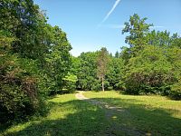 tmavšie miesta sa striedajú so svetlejšími