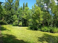 "zelené" jazierko s ostrovčekom