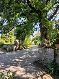 vstupná brána do ihriska