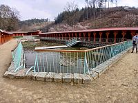 bazén a červené drevené šatne