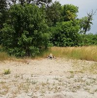 Hana Hegerová a Dunaj