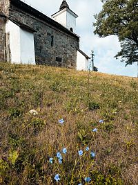 kostol na malom kopčeku s čakankou v tráve