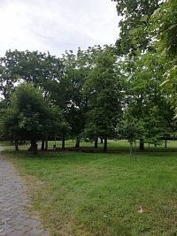park okolo hvezdárne