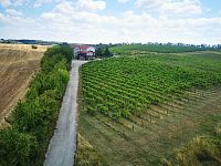 pohľad z vyhliadkovej veže na vinárstvo