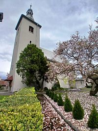 kostol a odkvitajúca magnólia