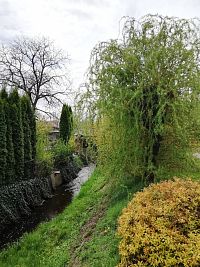 pohľad z mosta na potok