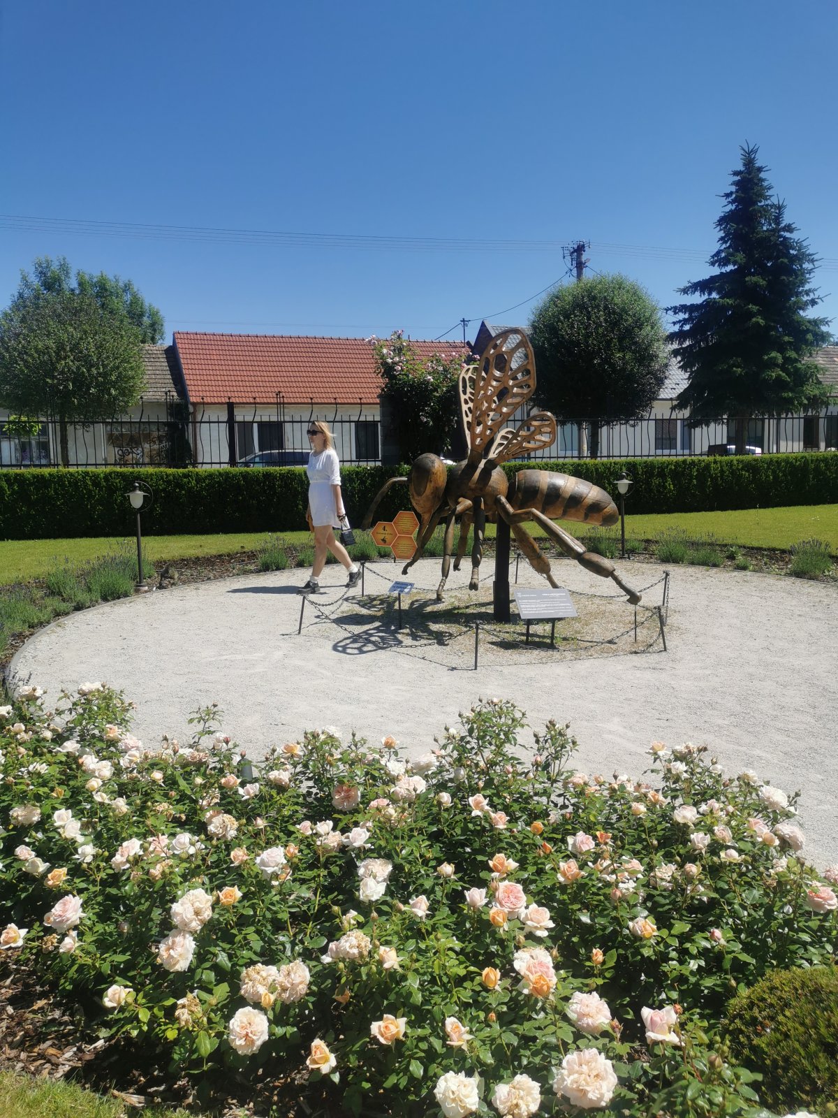 Dolná Krupá - Medolandia